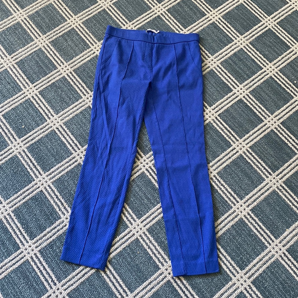 SO FLATTERING! dalia pants size 4